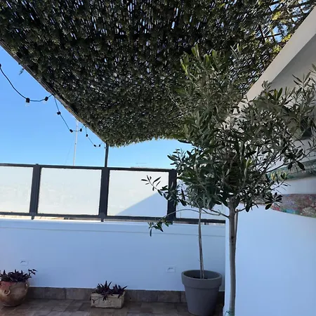 Апартаменты Terrazza Dei Mori - Seaview Terrace In Ortigia *